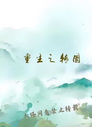重生之转圜